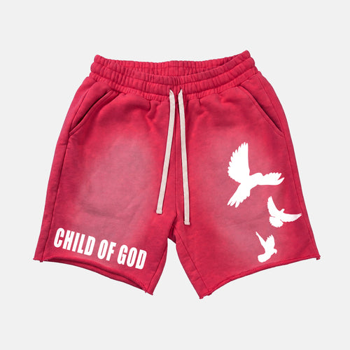 Child Of God Praying For Peace Retro Graphic Acid Washed Shorts