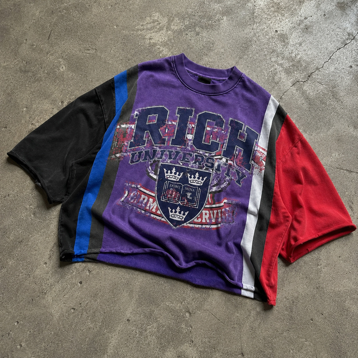Rich University Color Blocking Vintage Graphic Boxy Crop Crimped Edge T-shirt