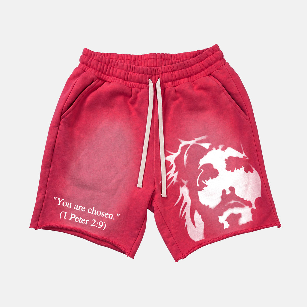 You Are Chosen Jesus Graphic Janky Washed Shorts