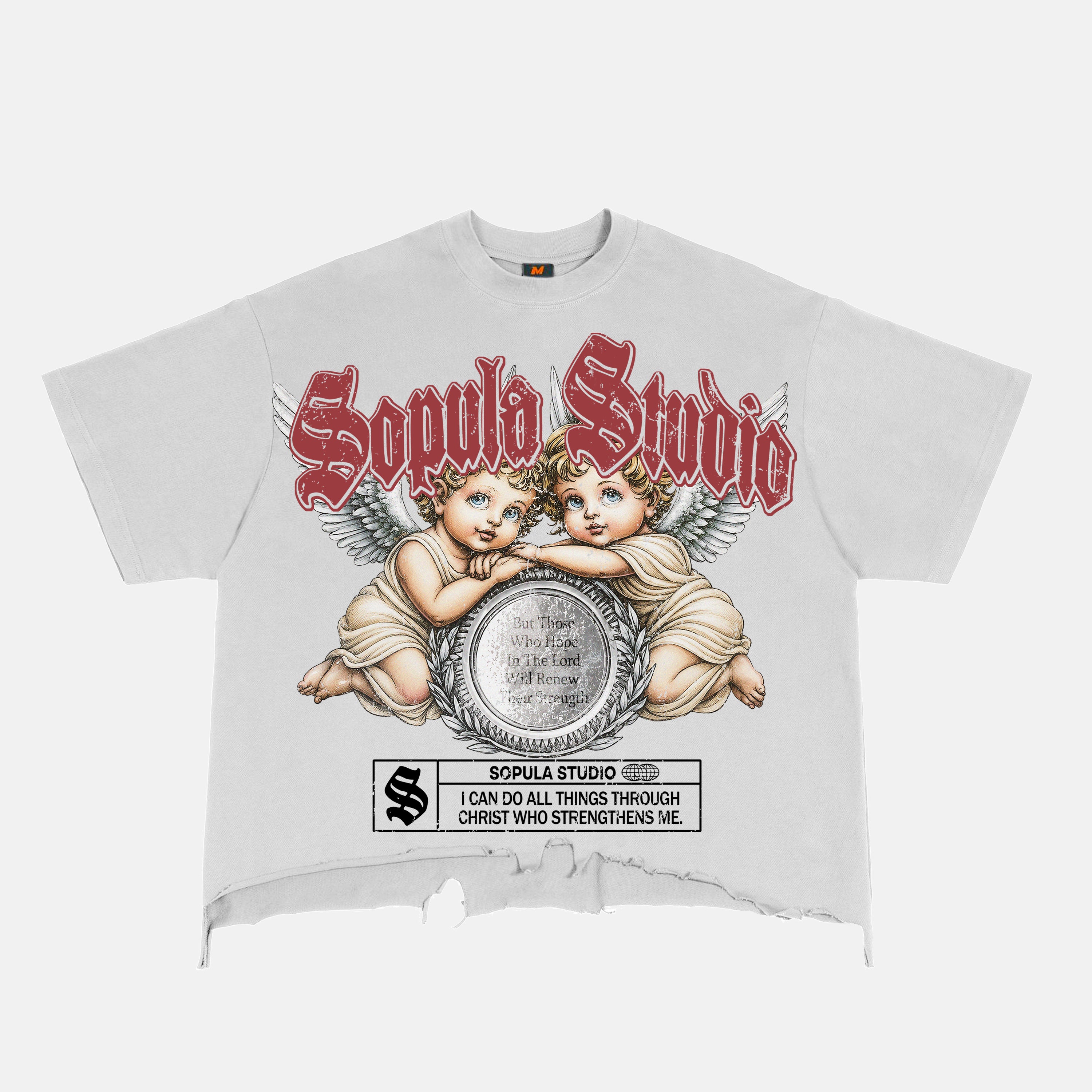 Sopula Angel's Mirror Graphic Crop Ripped T-shirt